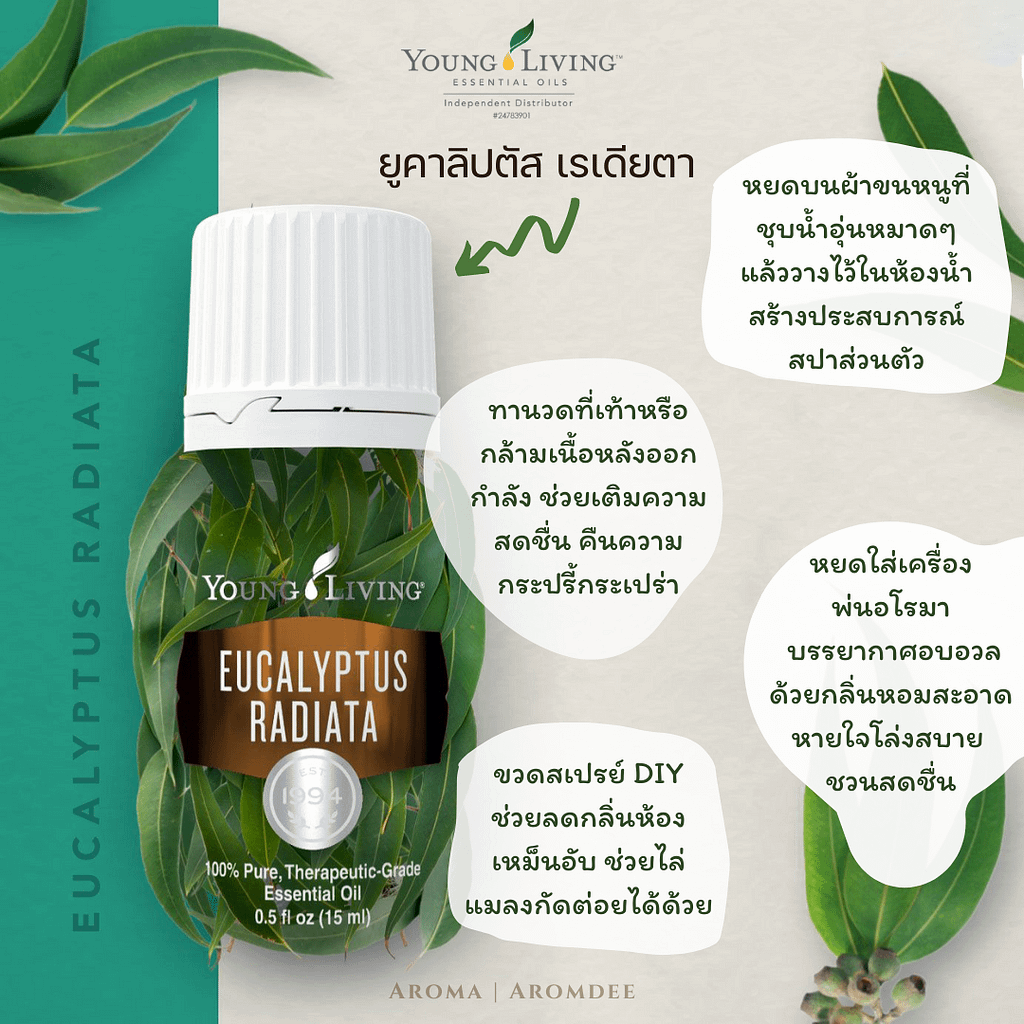 วิธีใช้น้ำมันหอมระเหย eucalyptus radiata essential oil