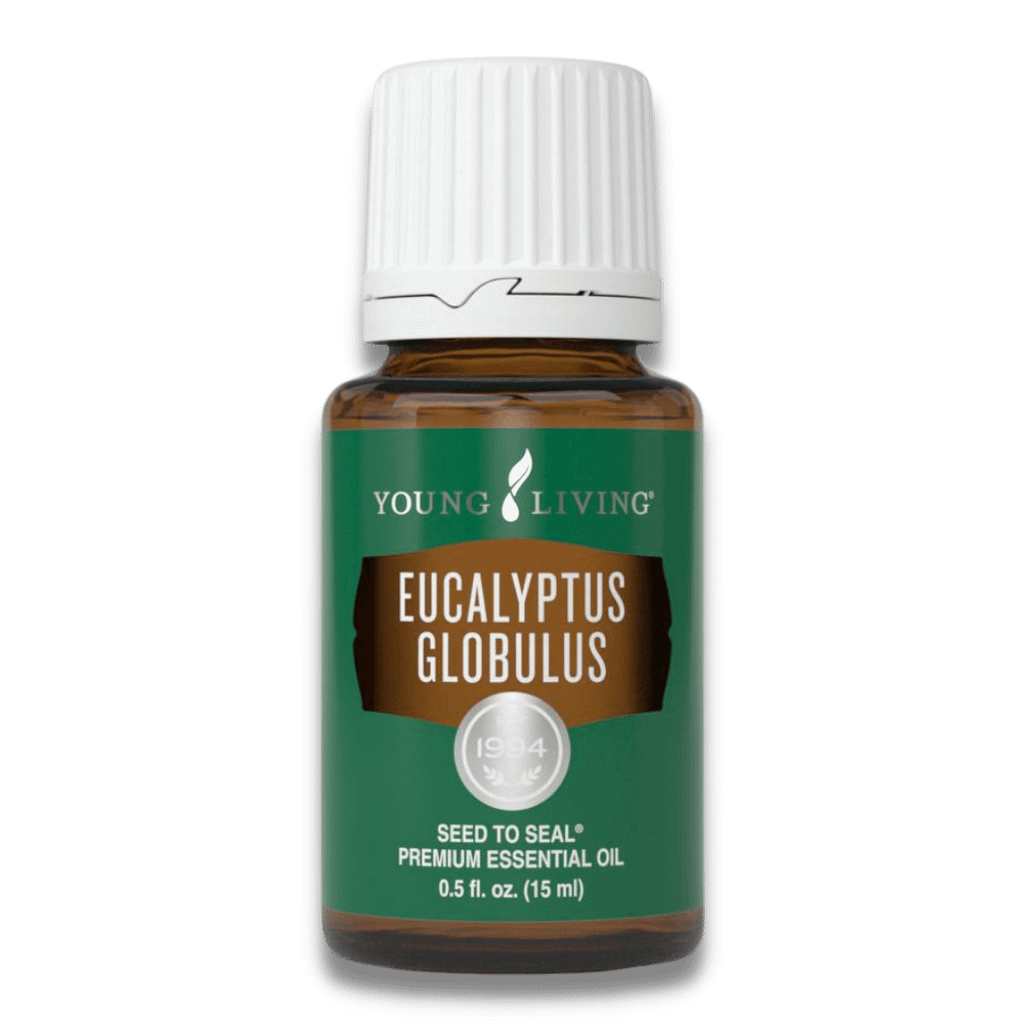 น้ำมันยูคาลิปตัส โกลบูลลัส Young Living Eucalyptus Globulus Essential Oil