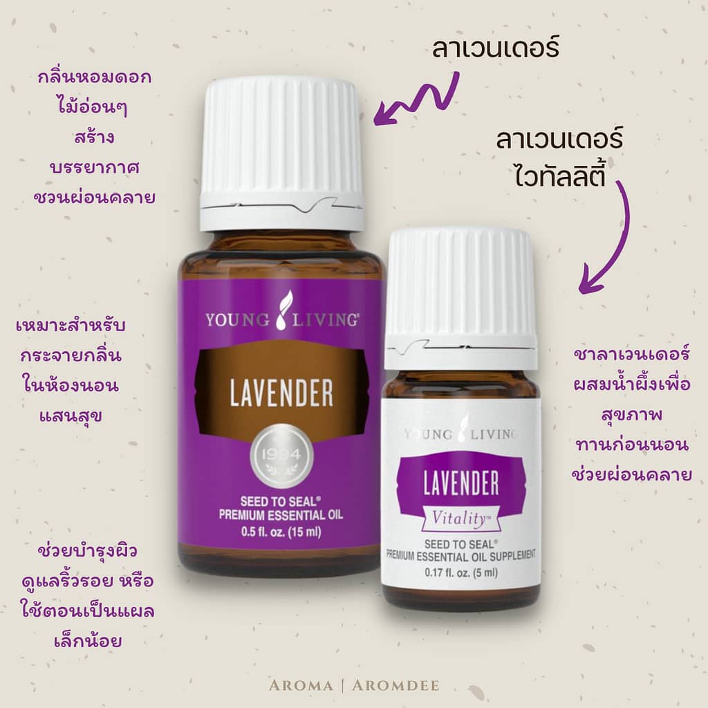 ประโยชน์น้ำมันหอมระเหยลาเวนเดอร์ Young Living Lavender และ Lavender Vitality