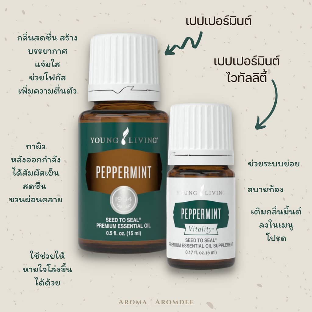 ประโยชน์น้ำมันหอมระเหยเปปเปอร์มินต์ Young Living Peppermint และ Peppermint Vitality